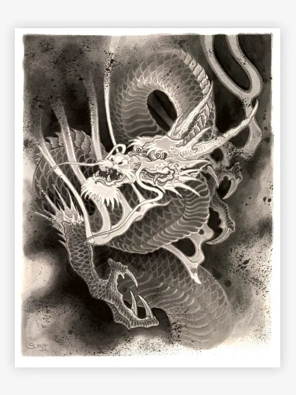 The Dragon Project — Hardcover Book