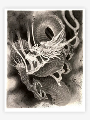 The Dragon Project — Hardcover Book