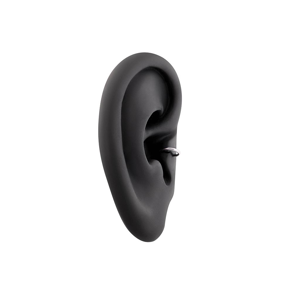 18g Seamless Annealed Stainless Steel Ring