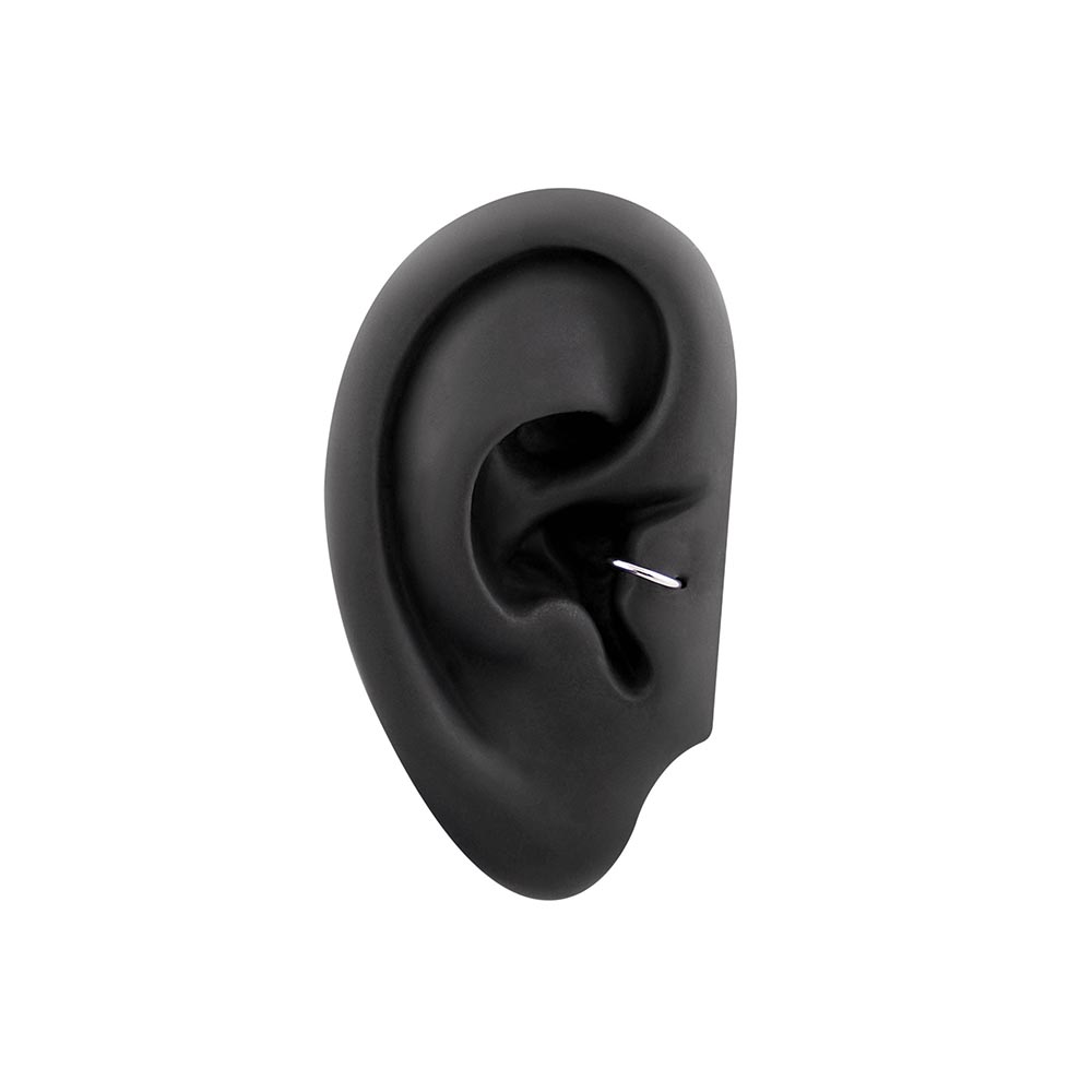 18g Seamless Annealed Stainless Steel Ring