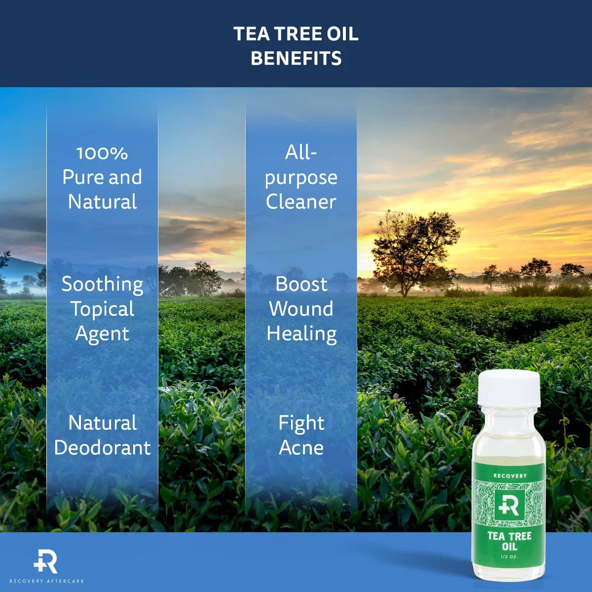 Recovery Aftercare Sea Salt and Tea Tree Oil Combo — Piercing Aftercare System