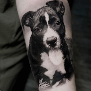 Greywash — Kuro Sumi Tattoo Ink — Pick Size