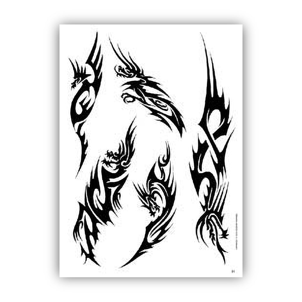 Book of Dragon Illustrations — Softcover Book