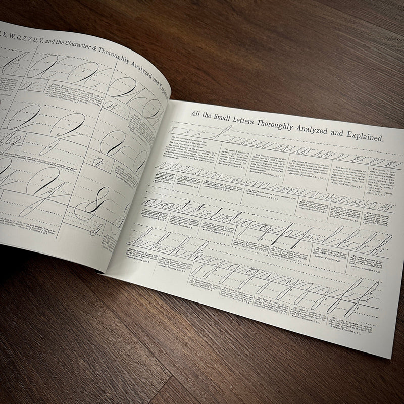 The Sign and Lettering Book — Softcover Book