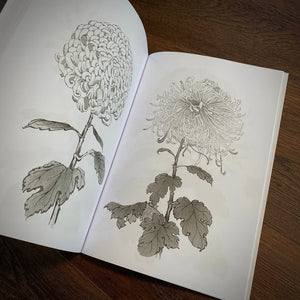 Japanese Foliage — Softcover Book