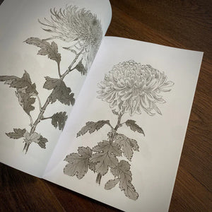 Japanese Foliage — Softcover Book