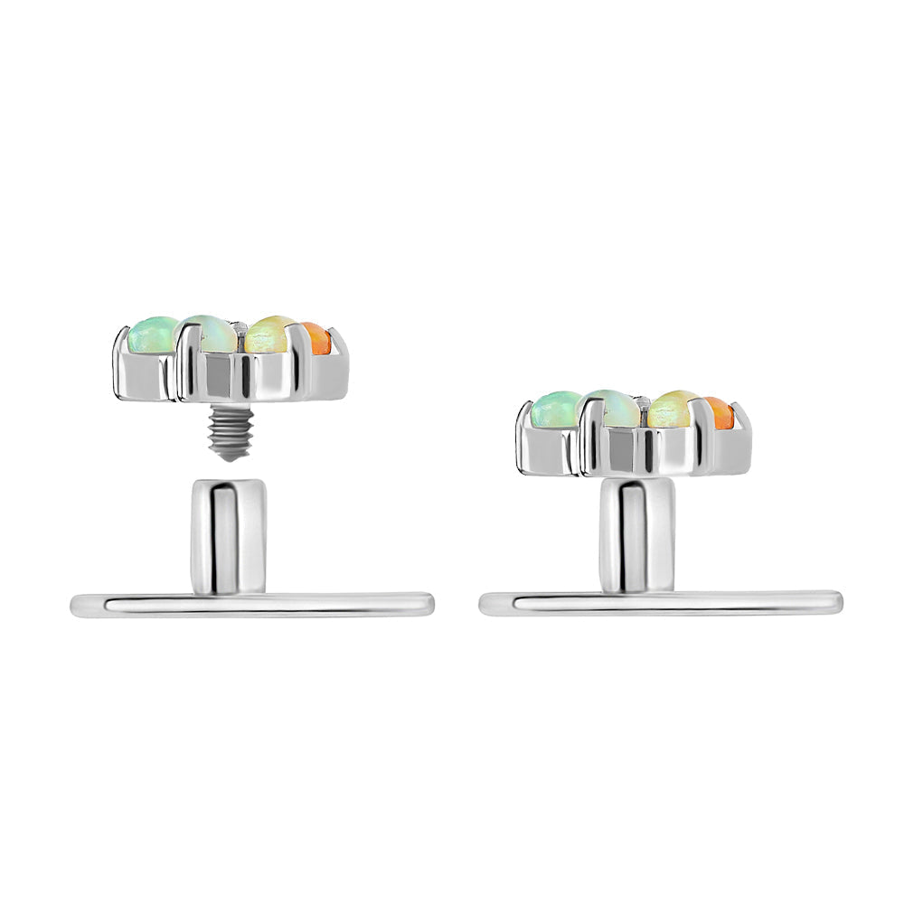 Dermal Titanium Anchor with 2-Hole Oval Base