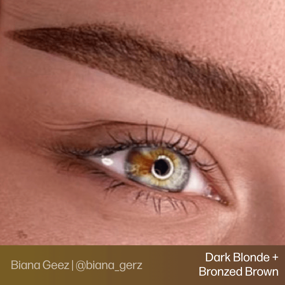 Evenflo Blonde 2 Brunette