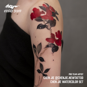 Chen Jie Watercolor Set — Kuro Sumi Tattoo Ink — 6 1.5oz Bottles