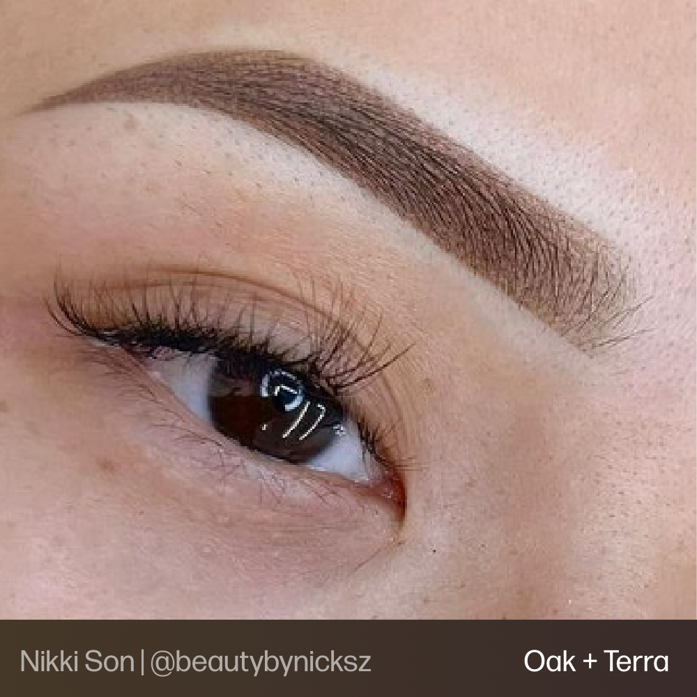Evenflo Brow Set