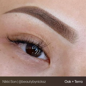 Evenflo Brow Set