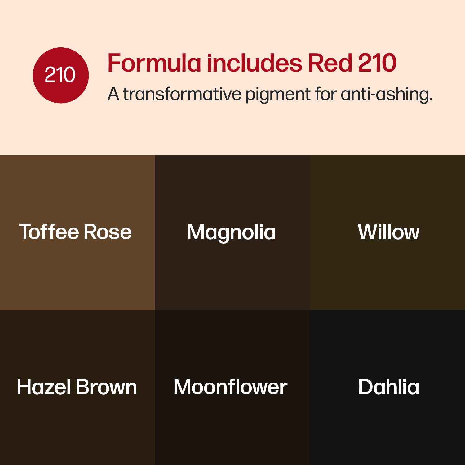 Heritage Collection Set for Brows