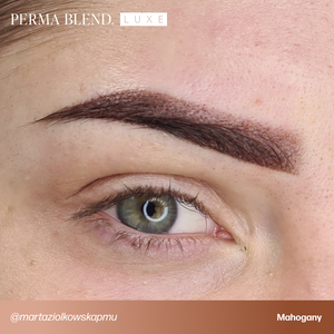 Brow Chicka Wow Wow Brow Set