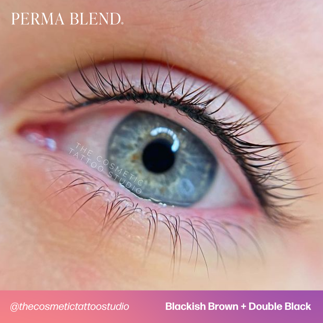 Blackish Brown - Perma Blend