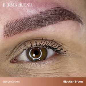 Blackish Brown - Perma Blend