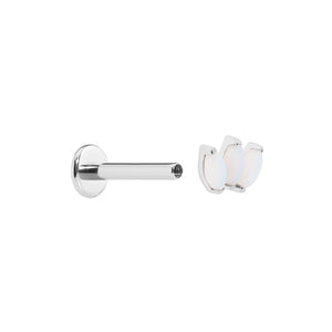 Titanium Internally Threaded Cabochon Marquis Fan - Painful Pleasures