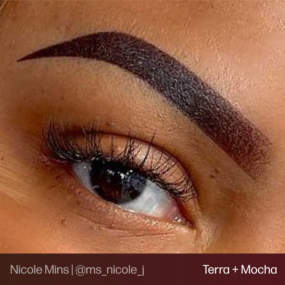 Evenflo Brow Set
