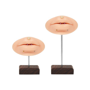 Wooden Display Stand for Body Jewelry