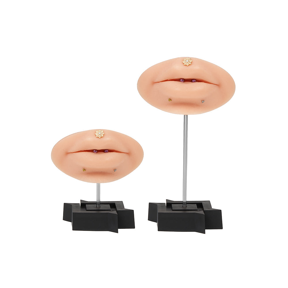 Acrylic Display Stand for Body Jewelry