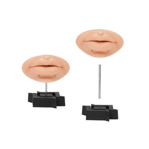 Acrylic Display Stand for Body Jewelry