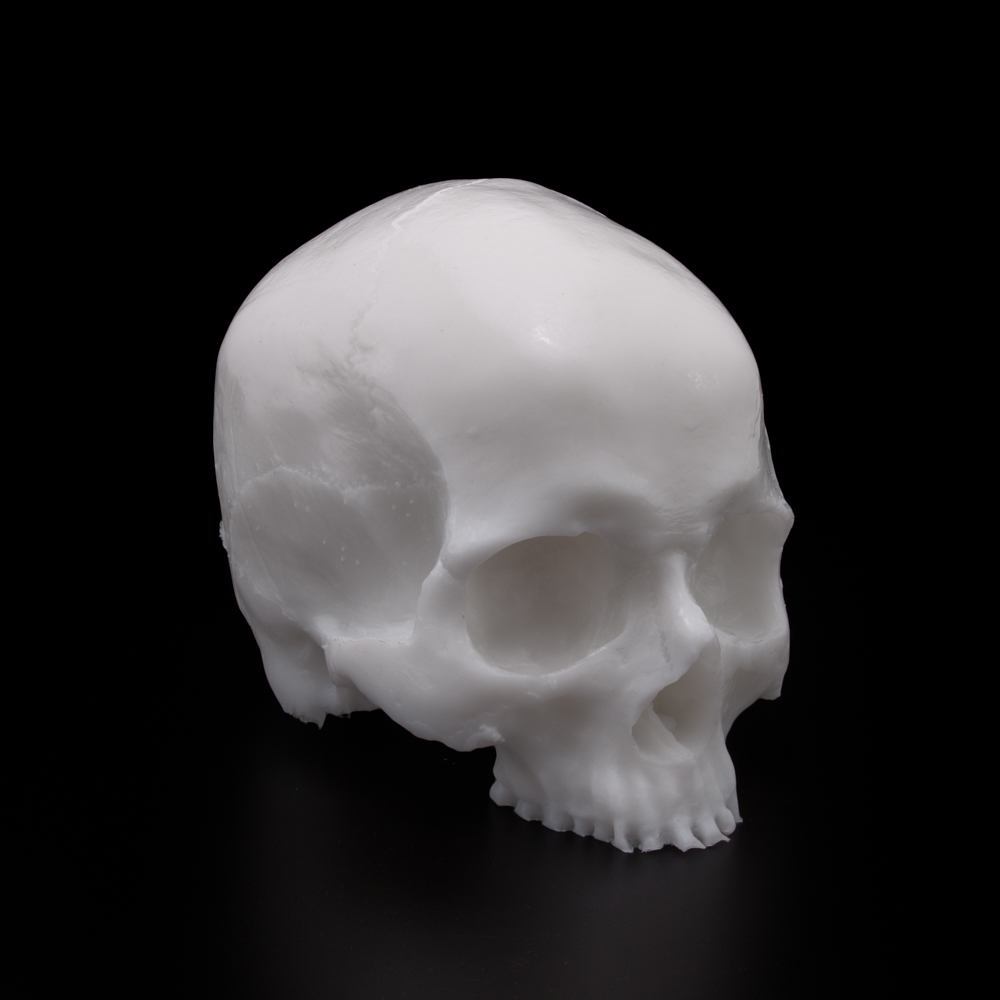A Pound of Flesh Tattooable Synthetic Yorick Skull — Pick Color