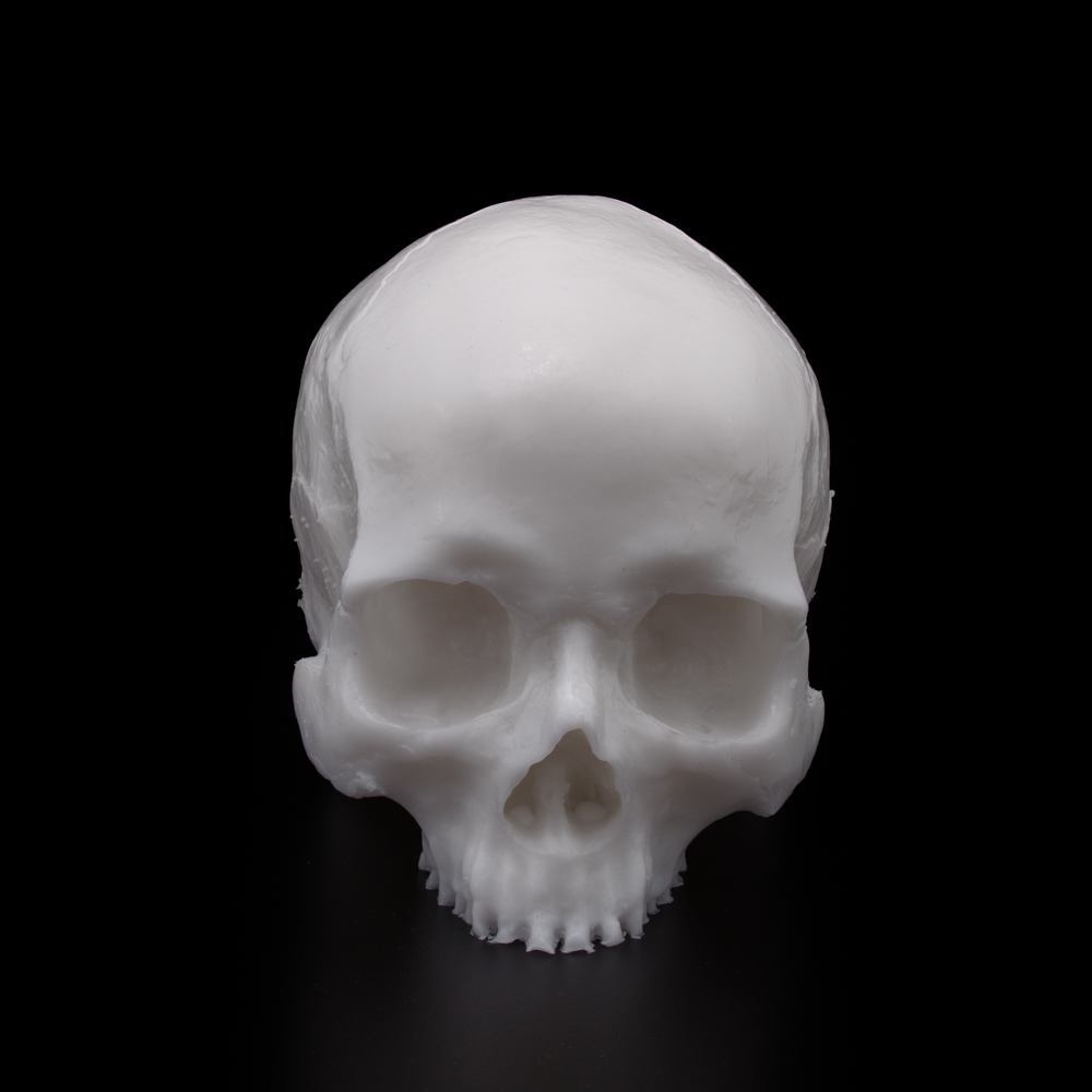 A Pound of Flesh Tattooable Synthetic Yorick Skull — Pick Color