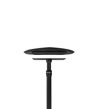 Ghost Tattoo Heart Tray (Tray Only)