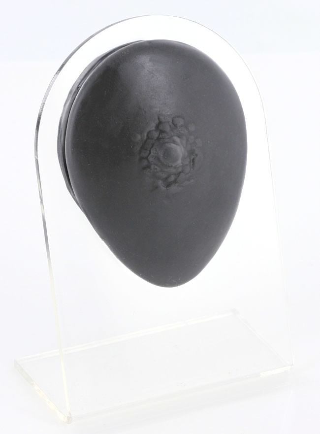 Silicone Male Nipple Display - Black Body Bit Version 1