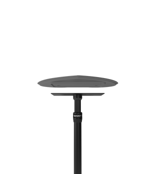 Ghost Tattoo Heart Tray (Tray Only)