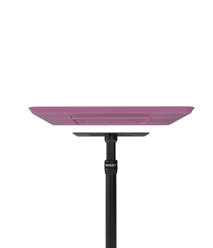 Ghost Tattoo Demon Tray (Tray Only)