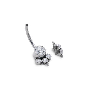 Double Gem Cluster Titanium Navel Curve