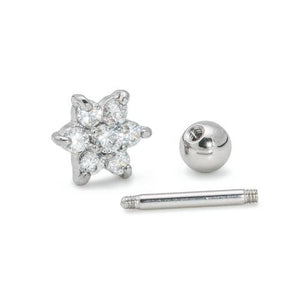 16g Stainless Steel Ear Jewelry with Six-Petaled Crystal Flower Charm — Price Per 1