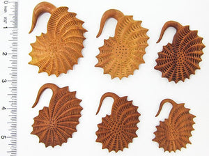 SEA SHELL Red Saba Wood Hanger 3mm-10mm - Price Per 1