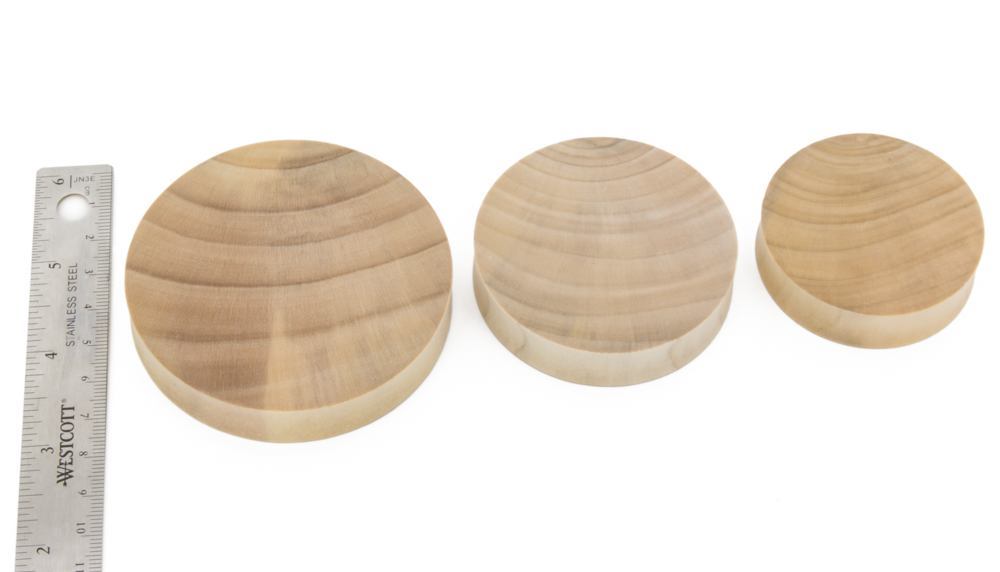Solid Crocodile Wood Plug — Price Per 1