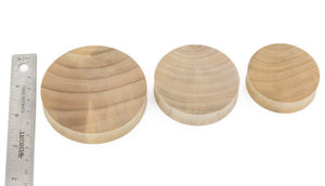 Solid Crocodile Wood Plug — Price Per 1