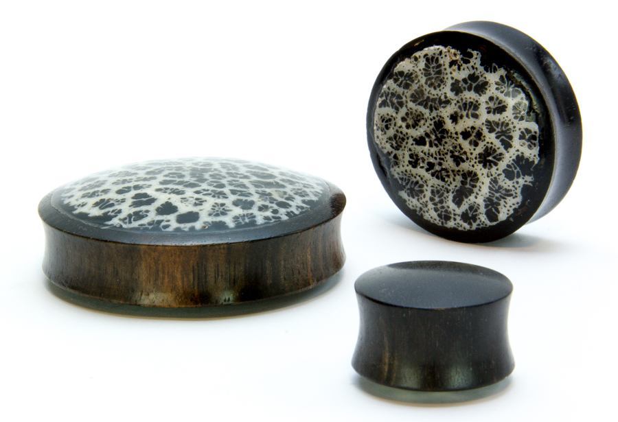 White Coral Over Black Resin Areng Wood Base - 14mm - 50mm Price Per 1