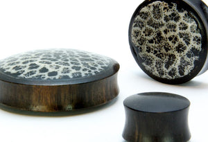 White Coral Over Black Resin Areng Wood Base - 14mm - 50mm Price Per 1
