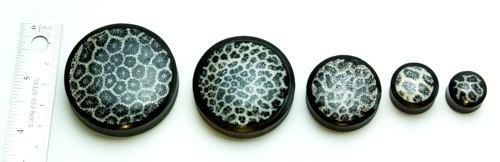 White Coral Over Black Resin Areng Wood Base - 14mm - 50mm Price Per 1