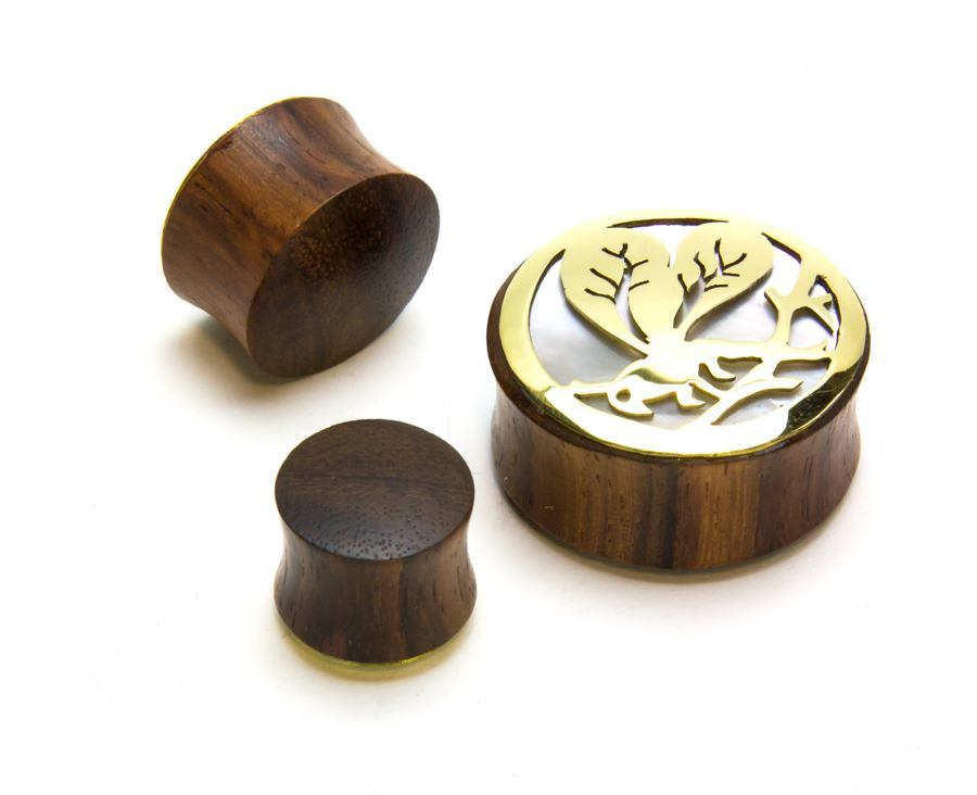 Insect Negative Space Art Plugs (12-24mm, Sold in Pairs)