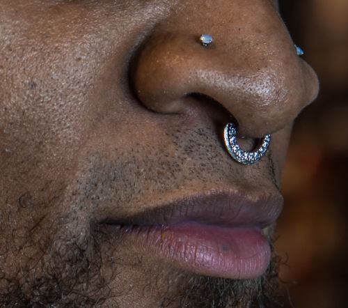 18g Gold Plated Septum or Earring Jewelry