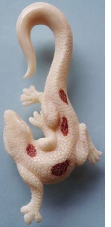 Lucky Lizard Natural Organic BONE Body Jewelry - Price Per 2