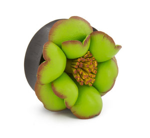 Fields of Green Hand Painted Leather Flower Plug - Price Per 1