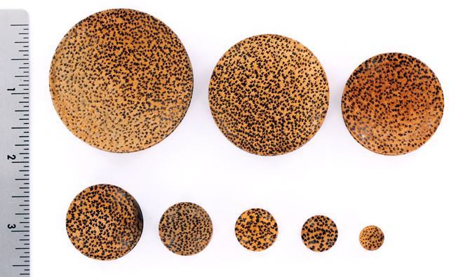 Solid Coconut Wood Plug — Price Per 1