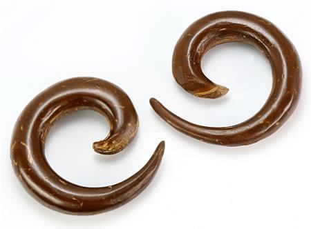 Coconut Shell Wood Sprial Hanger Earrings Organic Body Jewelry - Price Per 1