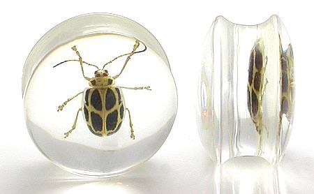 HBYG Bug - Cool Looking Bug inside an acrylic Plug for Gauged Ears - 16mm - 24mm - Price Per 1