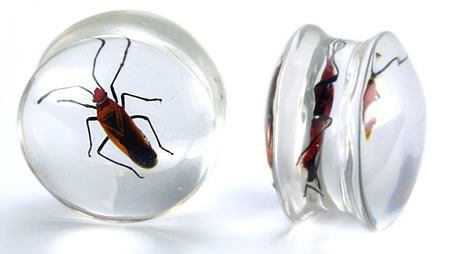 Red Bug or Pyrrhocorid inside an Acrylic Plug for Gauged Ears - 16mm - 24mm - Price Per 1