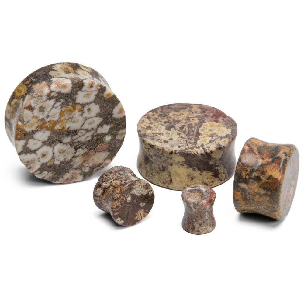 FOSSIL PLUG STONE Double Flare Plugs 10g - 1" - Price Per 1