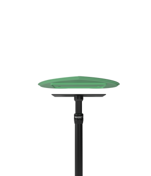 Ghost Tattoo Heart Tray (Tray Only)