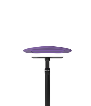 Ghost Tattoo Heart Tray (Tray Only)