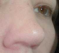 20g or 18g Monofilament L-Bend Nostril Retainer